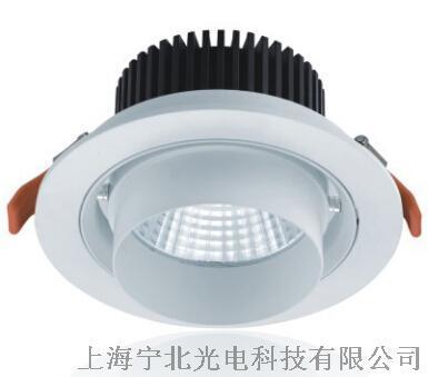 LED天花灯筒灯COB 10W SZ-2025(B)