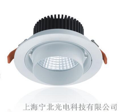 LED天花灯筒灯COB 30W SZ-2030(B)